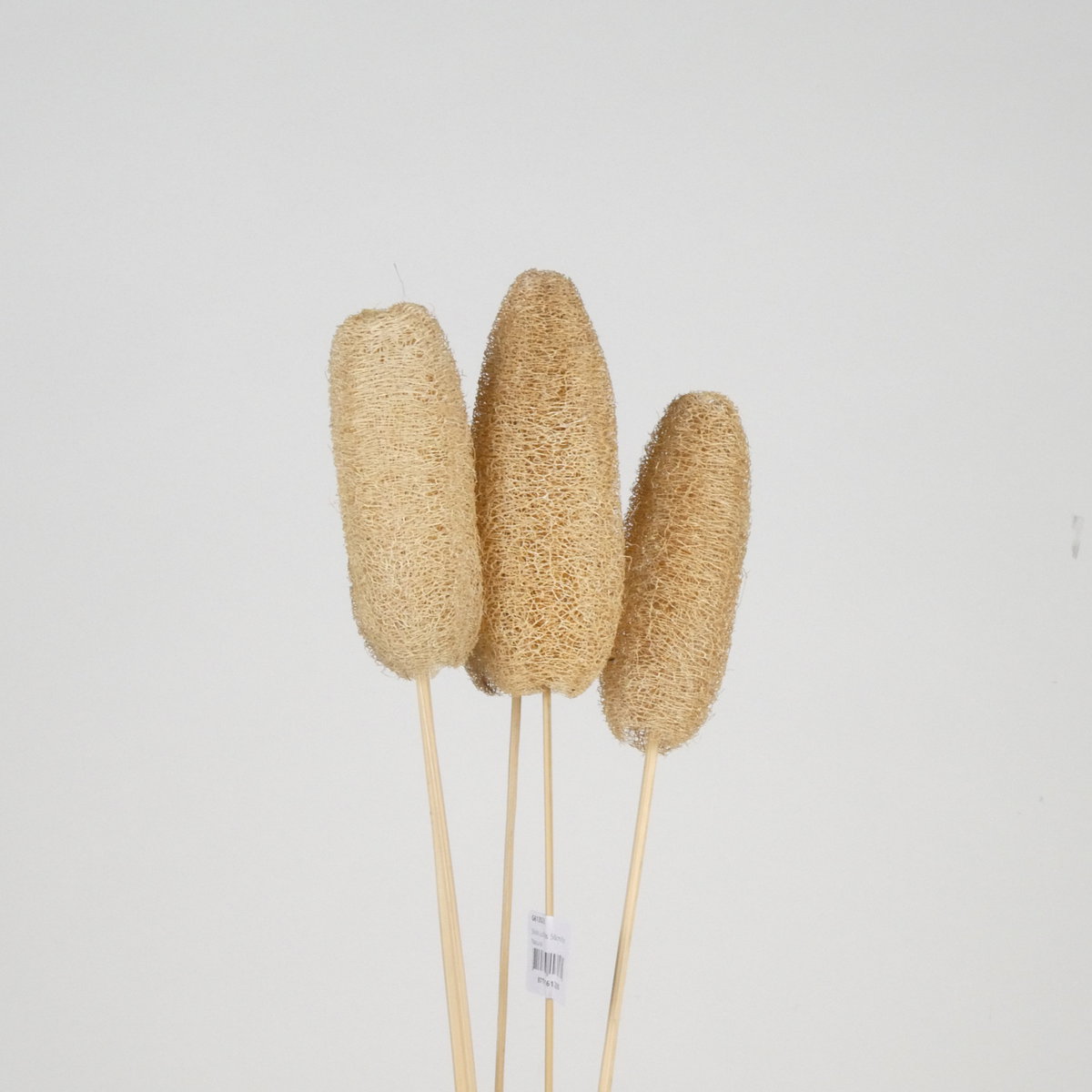 Stick Lufa Bs 50cm/5pc Natural