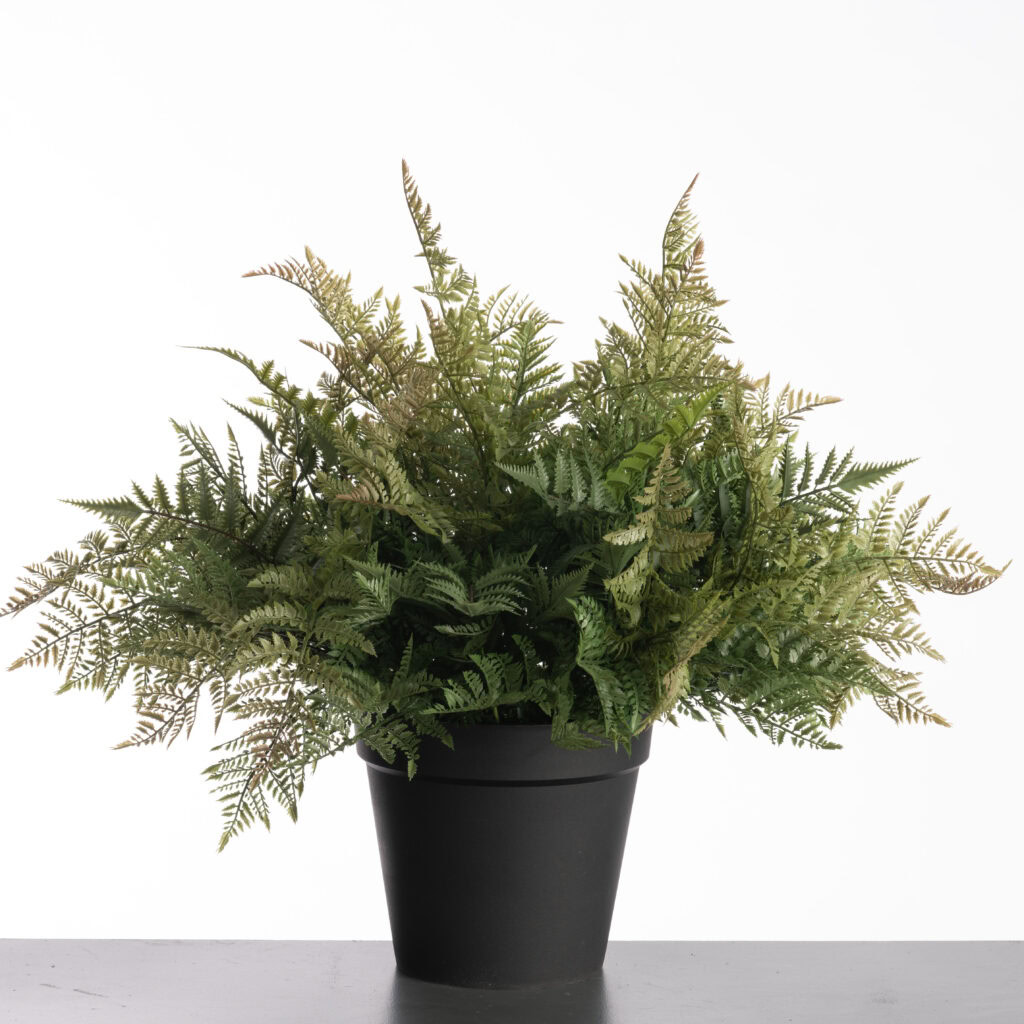 Kunstplanten - Leather Fern in pot H74cm Green