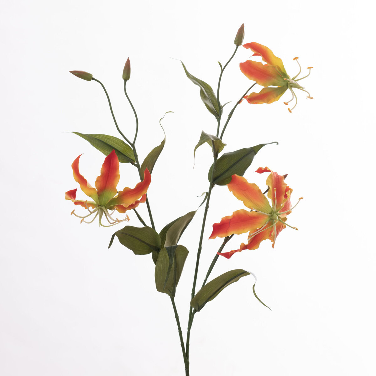 Gloriosa L92cm Orange