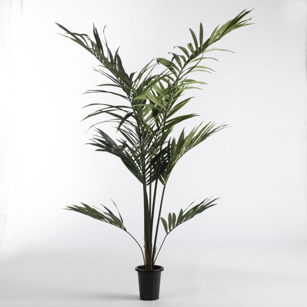 Kunstplanten - Kentia Palm in pot H180cm Green