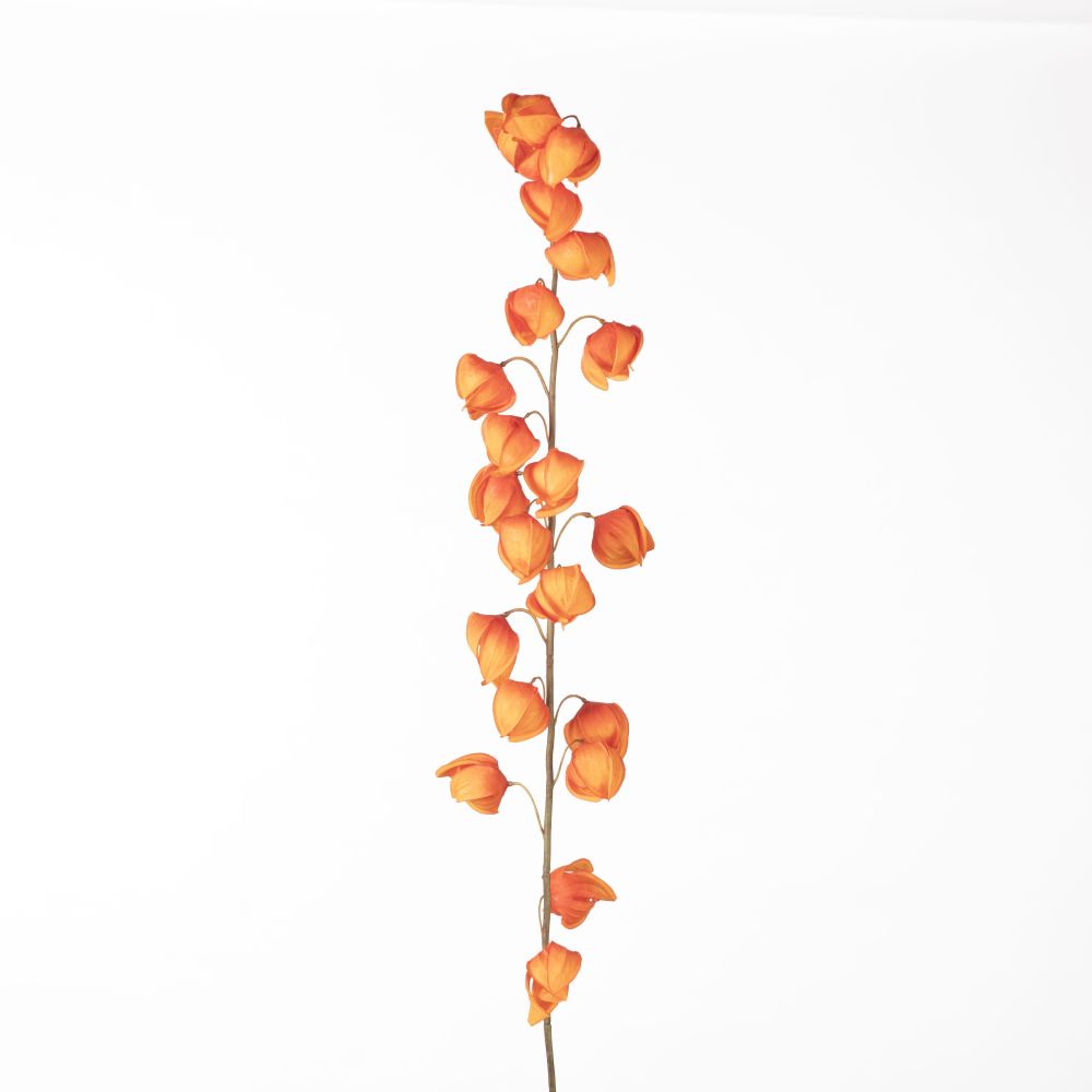 Kunstbloemen - Physalis Spray L129cm Orange