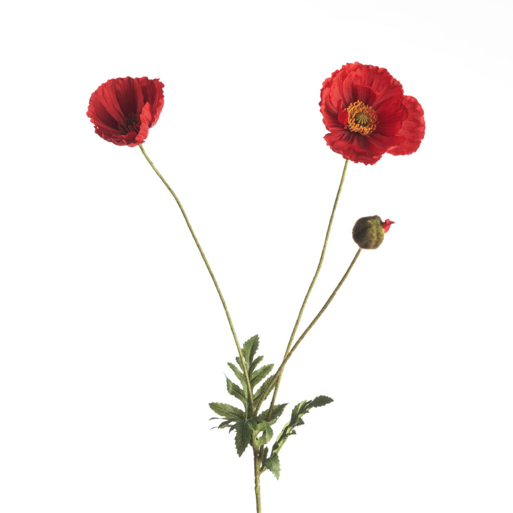 Kunstbloemen - Papaver L75cm Red