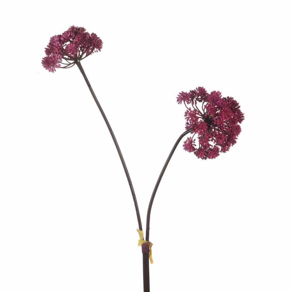 Angelica x2 L116cm Magenta