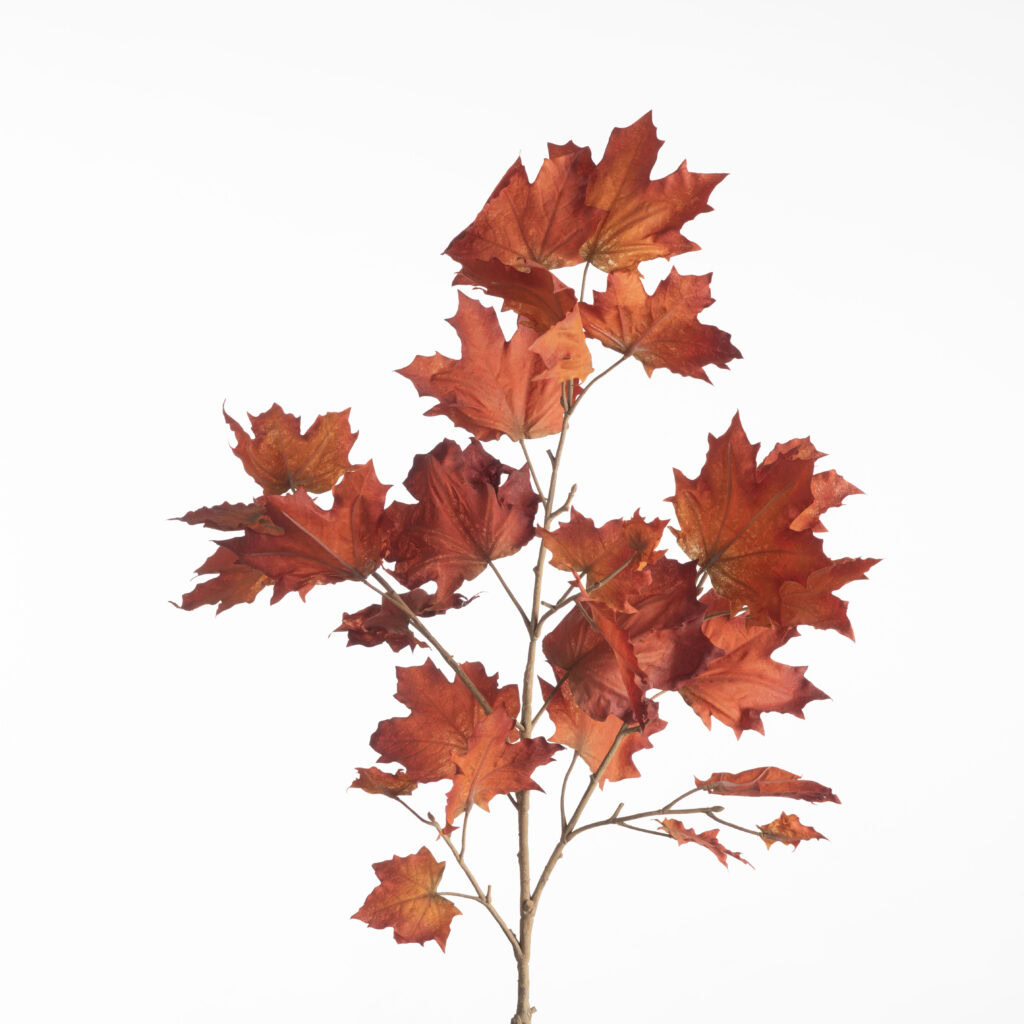 Maple Spray L112cm Orange