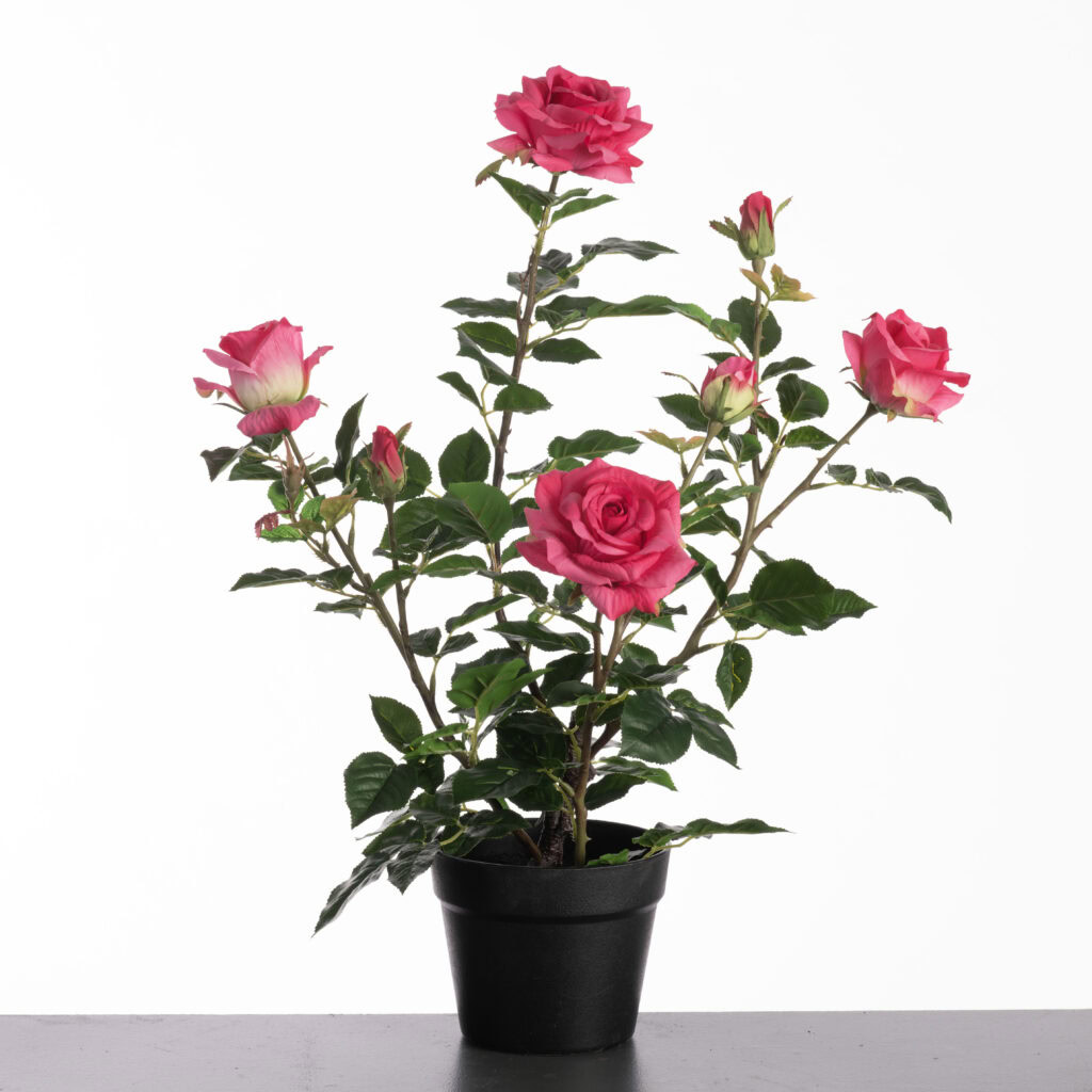 Kunstplanten - Rosa in pot H64cm Beauty