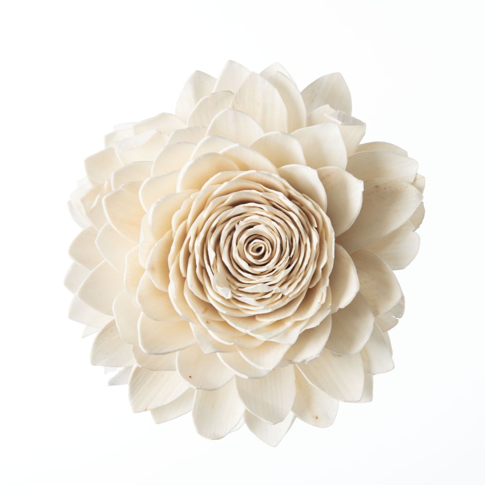 DF Waterlily Flower Hanging 20cm White