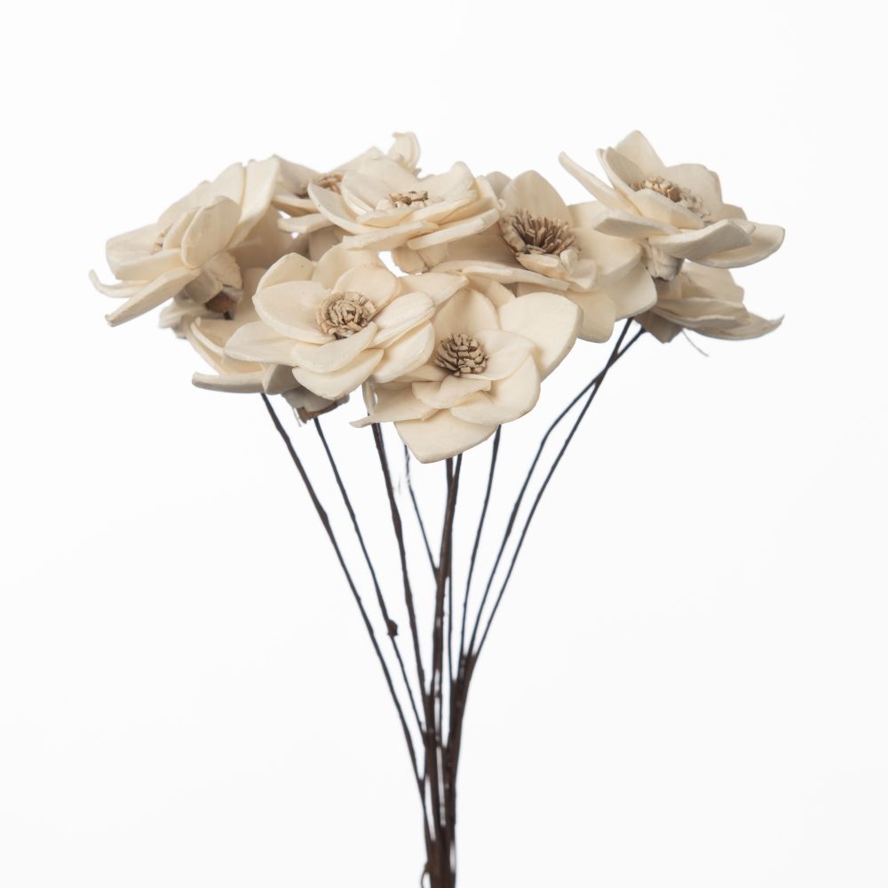 DF Shola Rukmani 20cm Bunch/11 White