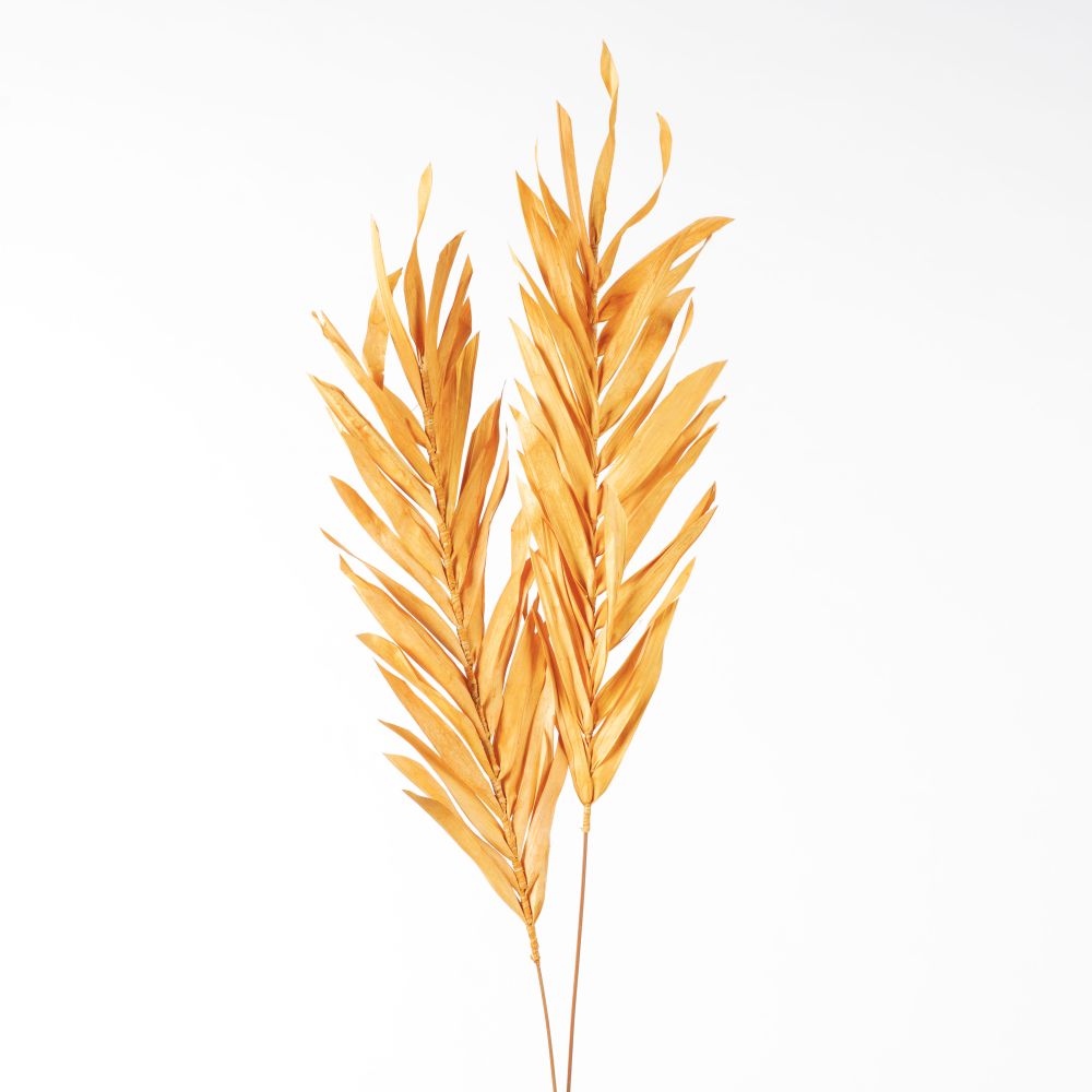 DF Fireleaves 105cm Peach