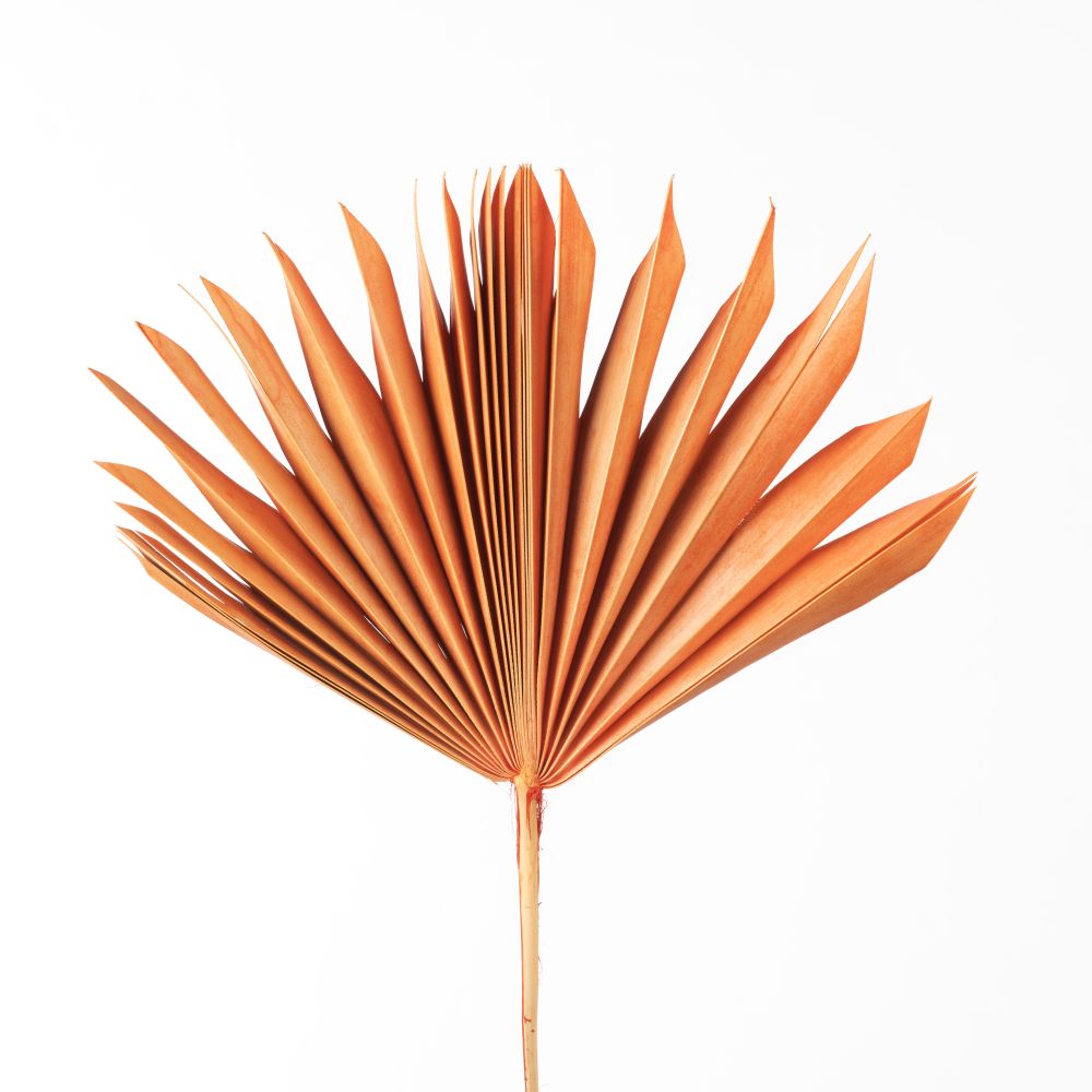 DF Palm Sun Spear 110cm Peach