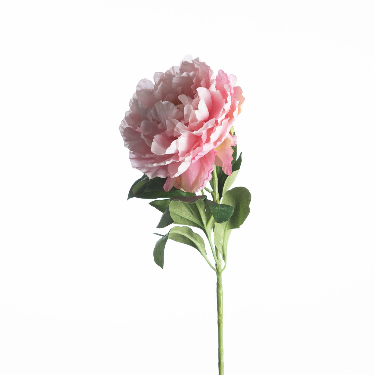 Paeonia Recycled L65cm Pink